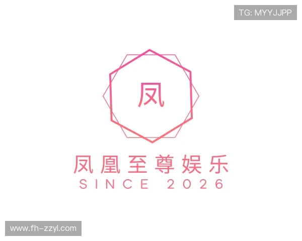 发现凤凰至尊fh正常登录